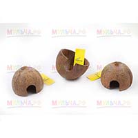 Скорлупа кокосового ореха - необычный материал для поделок